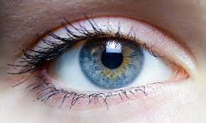 vision